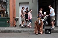 IMG-8508