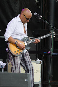 Renard Poché