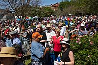 IMG 8553