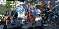 IMG 4558