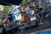 IMG 4571