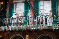 Skull Paradise
