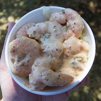 Shrimp Regua