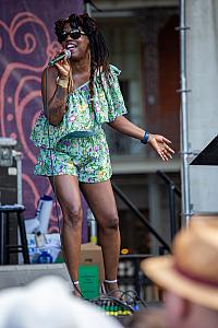 IMG 8471