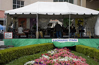 IMG_8632