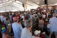 IMG-8141