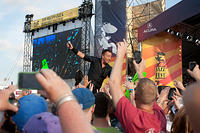 Bruce in the Crowd