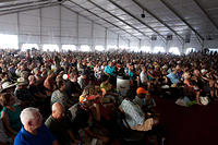 IMG-8754