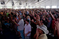 IMG-0804