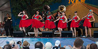IMG-3378