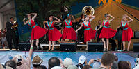 IMG-3382
