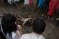 IMG-2570