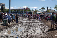Muddy pathway