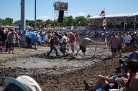 IMG-3293