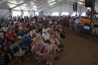IMG-3316