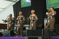 IMG-9291
