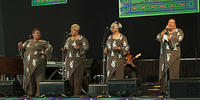 IMG-9295