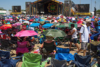 IMG-0803