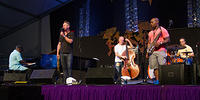 IMG-4374