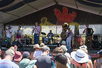 IMG-8563