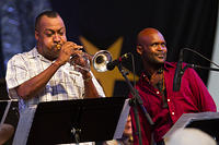 IMG-0354