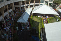 Overlooking the Langiappe Stage