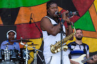 IMG-9463