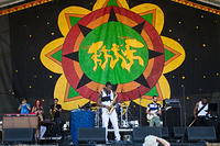 IMG-9529