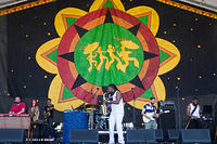 IMG-9545