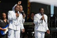 IMG-1553
