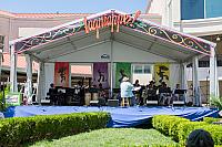 IMG 4651