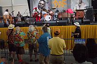 IMG 4999