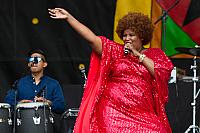 IMG 7013