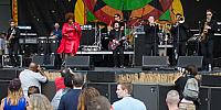 IMG 7087