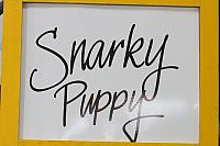Snarky Puppy