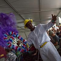 IMG 9733