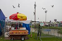 IMG 0637