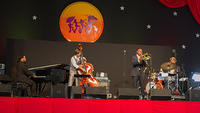 IMG 5706