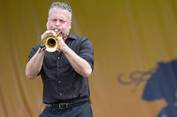IMG 7178
