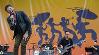 IMG 7653