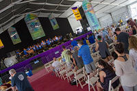 IMG 7908