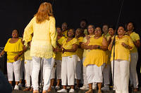 IMG 8358