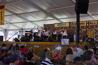 IMG 8584