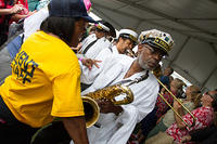 IMG 8803