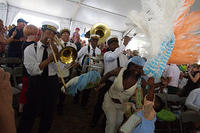 IMG 8884