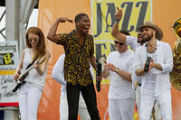 IMG 9184
