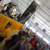 IMG 4658
