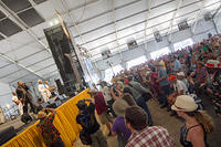 IMG 4676