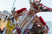 IMG 5953