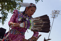 IMG 6009